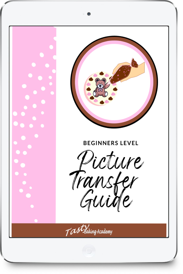 *Beginners level Picture Transfer Guide - Digital PDF