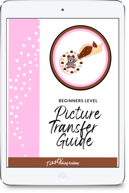 *Beginners level Picture Transfer Guide - Digital PDF